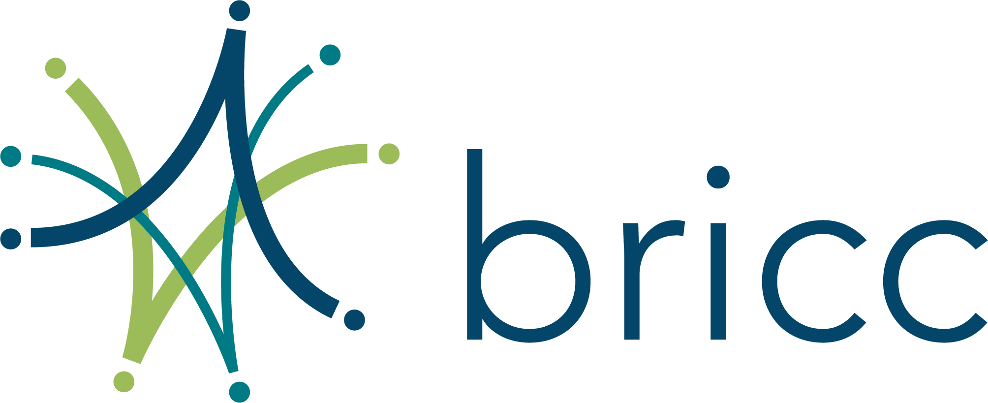 BRICC logo