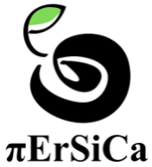 Piersica Logo