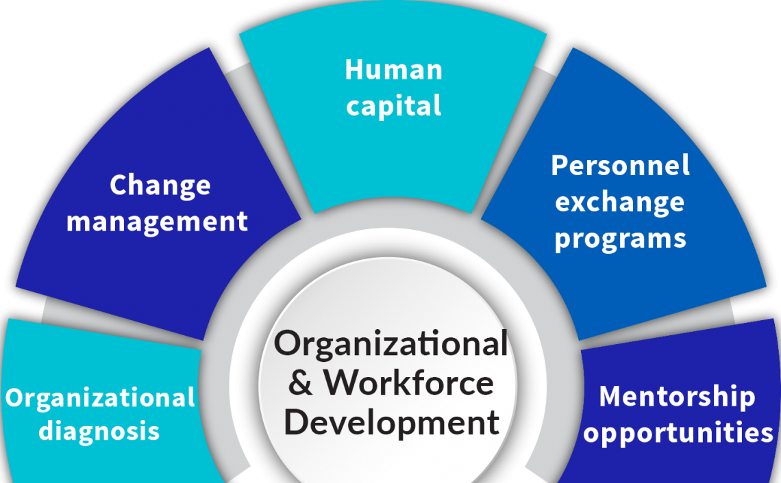 APEX Organizational & Workforce Development services