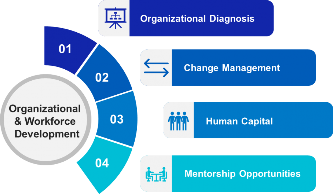 APEX Organizational & Workforce Development services